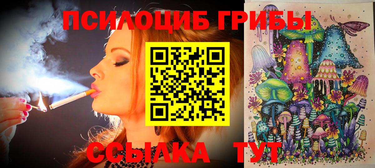 Галлюциногенные грибы Psilocybe Владивосток