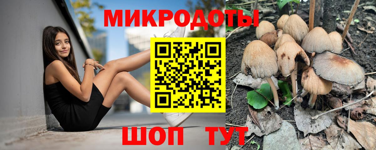 Галлюциногенные грибы Cubensis  Вход с VPN  Владивосток  наркотики  Галлюциногенные грибы GOLDEN TEACHER 